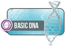 ThetaHealing® Basis DNA Kurs